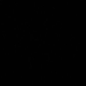 Meet your Posher, Dhara